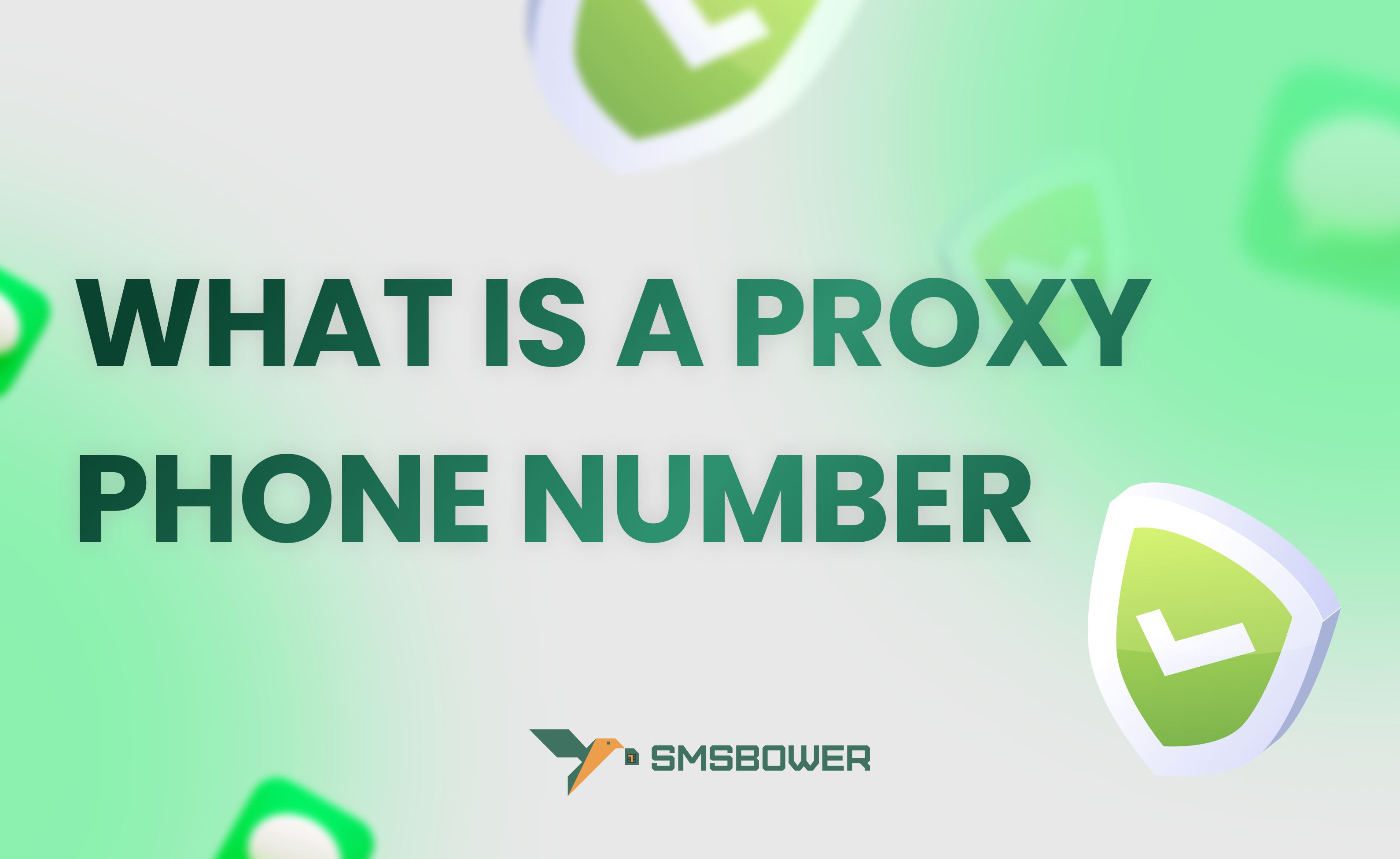 Enhance Security with a Proxy Phone Number: A Complete Guide